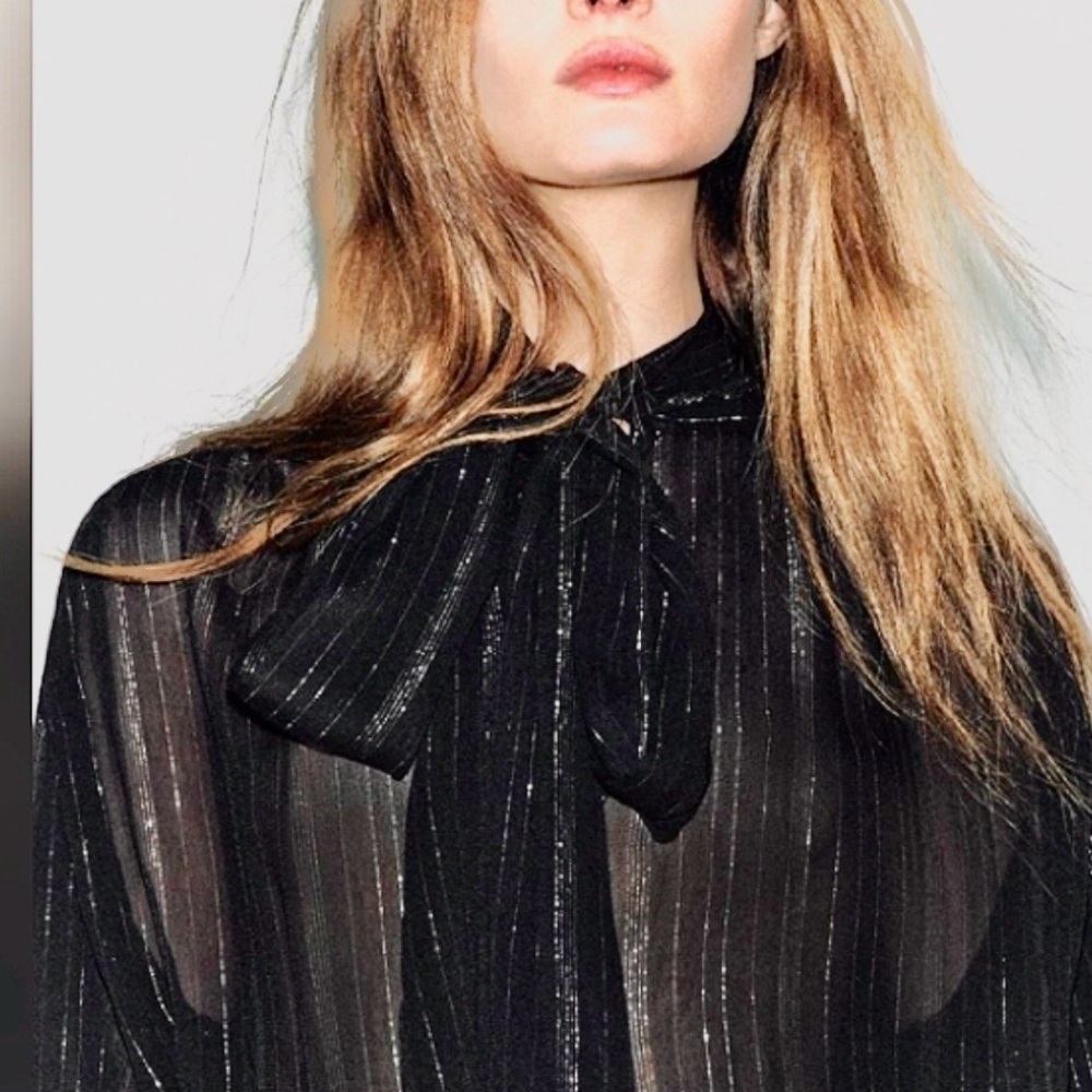 Zara NWT Black Semi Sheer Blouse